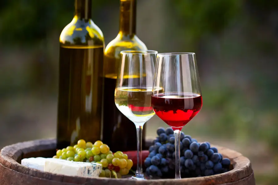 Fine dining in Greater Noida
